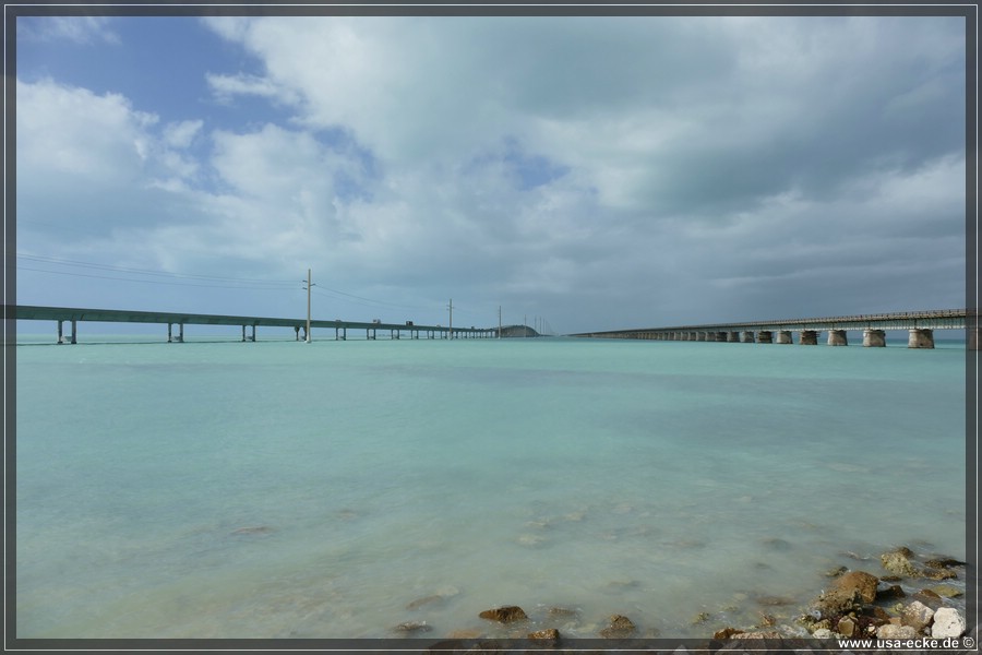 Pigeon_Key_2024_044