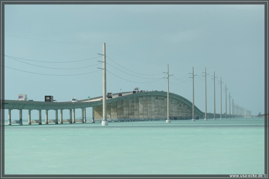 Pigeon_Key_2024_045