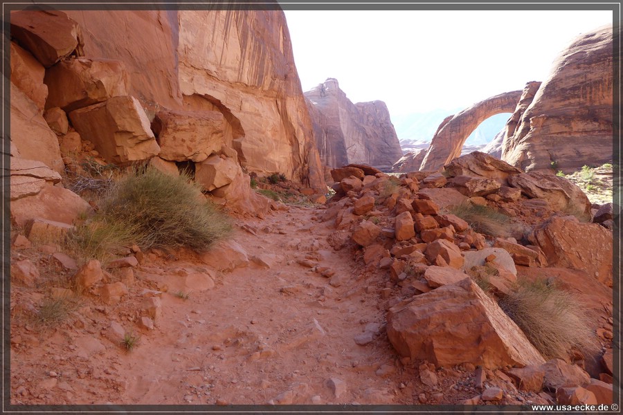 RainbowBridge2017_010