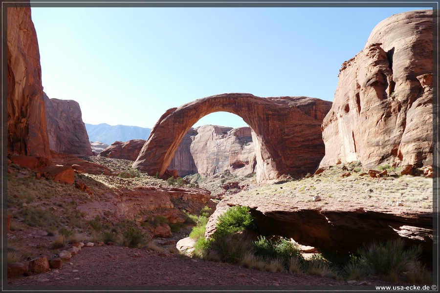 RainbowBridge2017_016