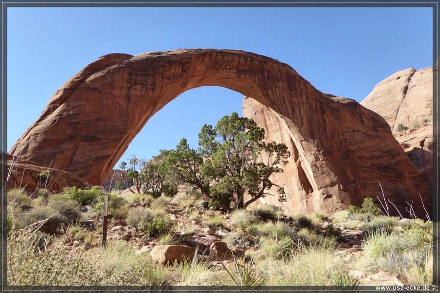 RainbowBridge2017_018