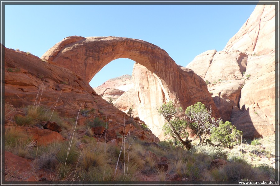 RainbowBridge2017_020