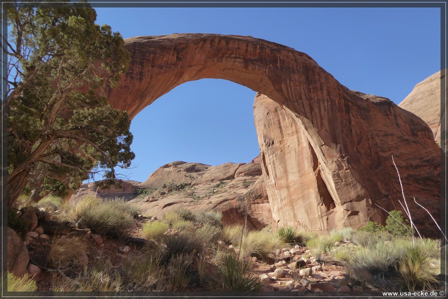 RainbowBridge2017_022