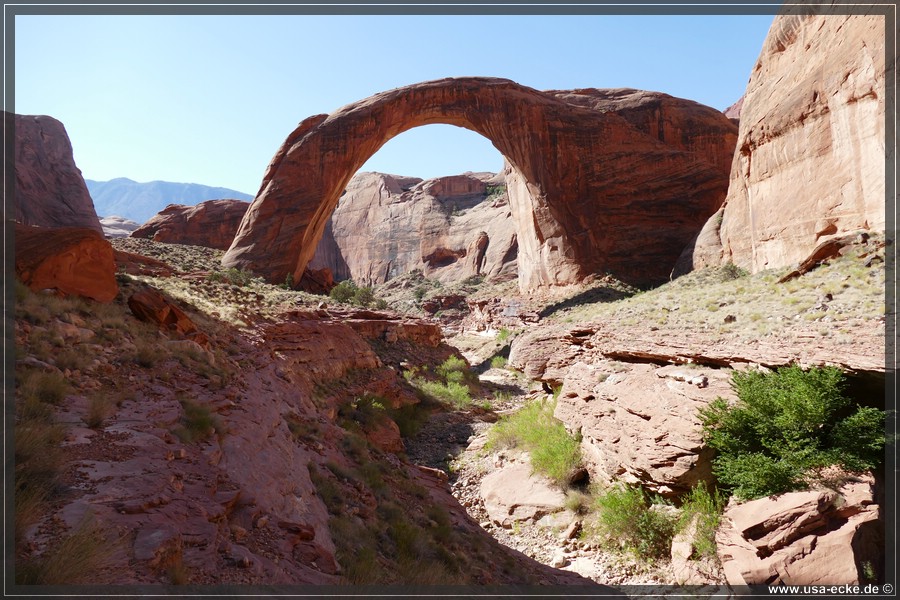 RainbowBridge2017_033