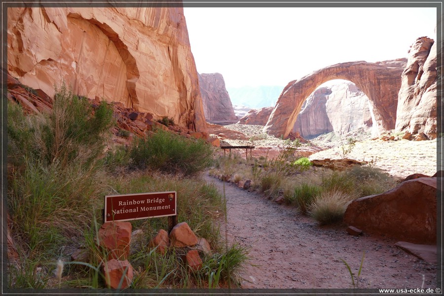 RainbowBridge2017_035