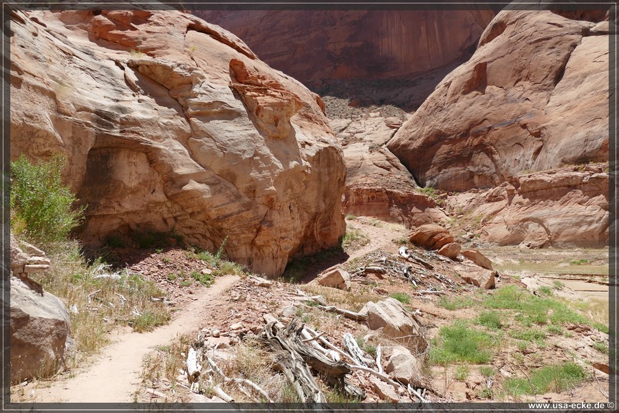 Rainbow_Bridge_2025_003
