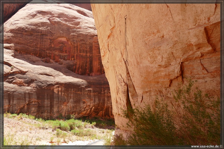 Rainbow_Bridge_2025_007