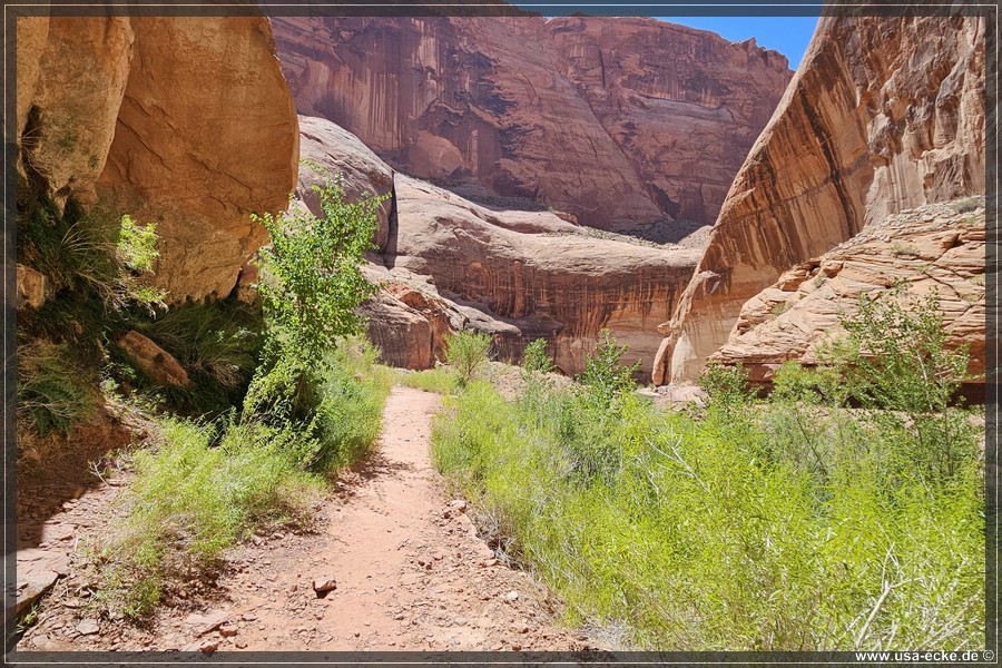 Rainbow_Bridge_2025_008