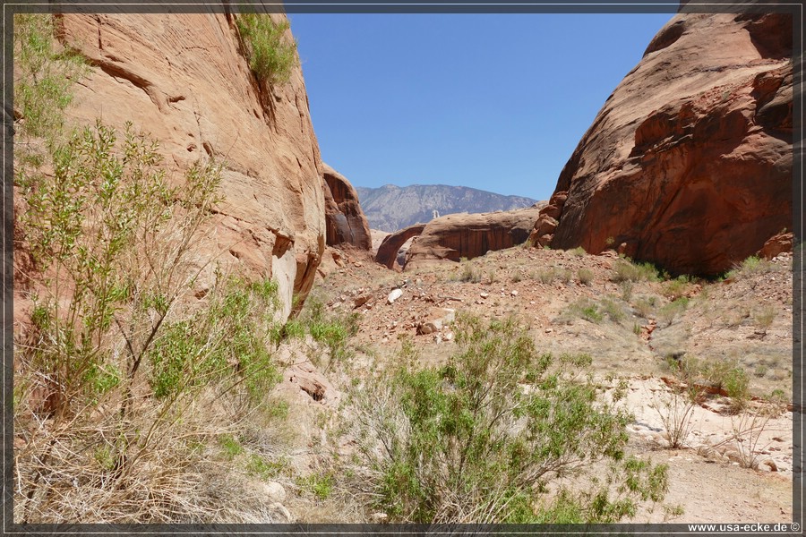 Rainbow_Bridge_2025_011