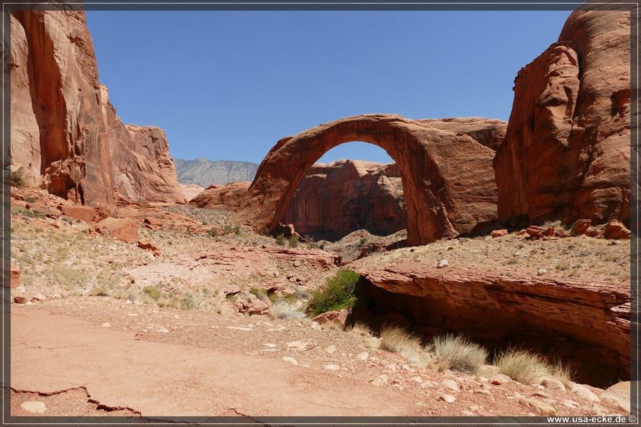 Rainbow_Bridge_2025_039