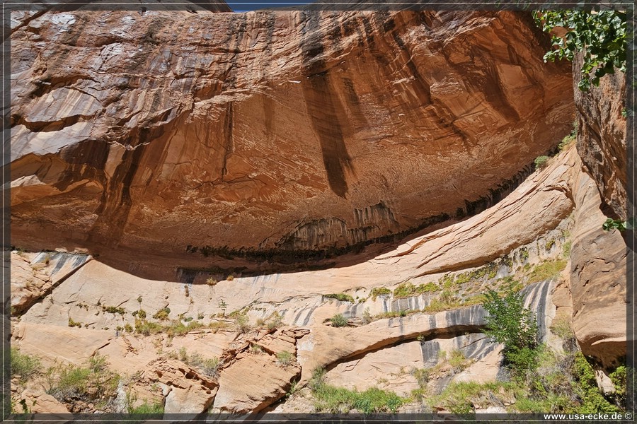 Rainbow_Bridge_2025_046