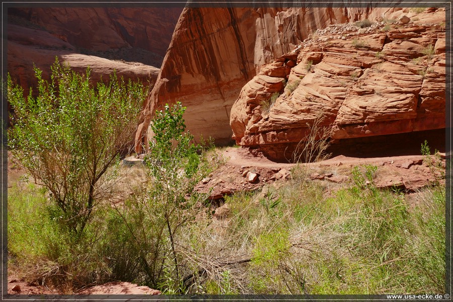 Rainbow_Bridge_2025_047
