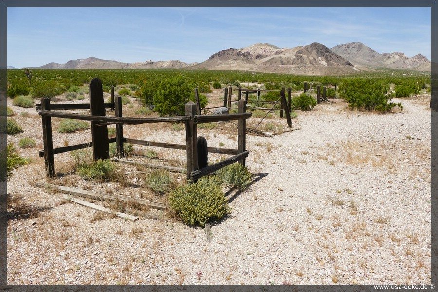 Rhyolite_2024_059