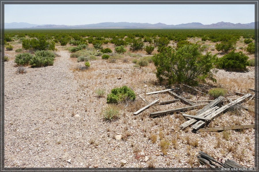 Rhyolite_2024_065