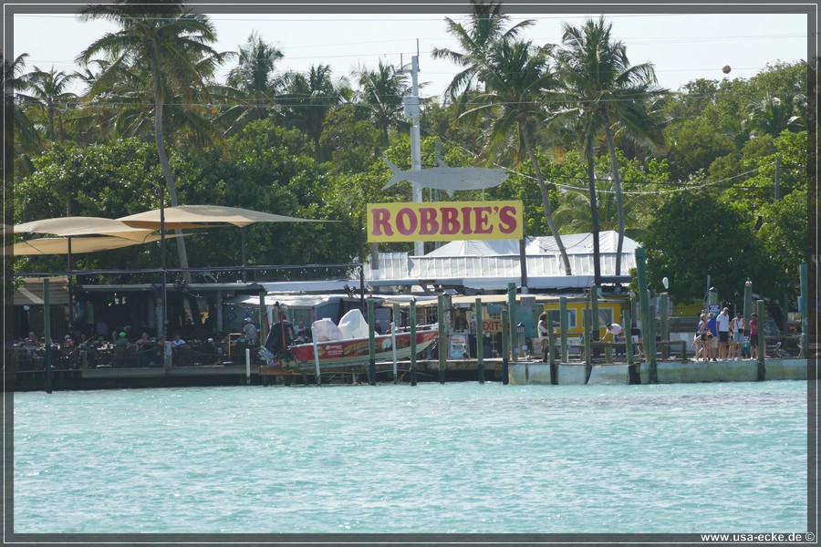 Robbies_2024_001