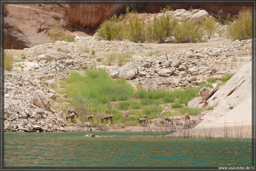 Rock_Creek_2025_041