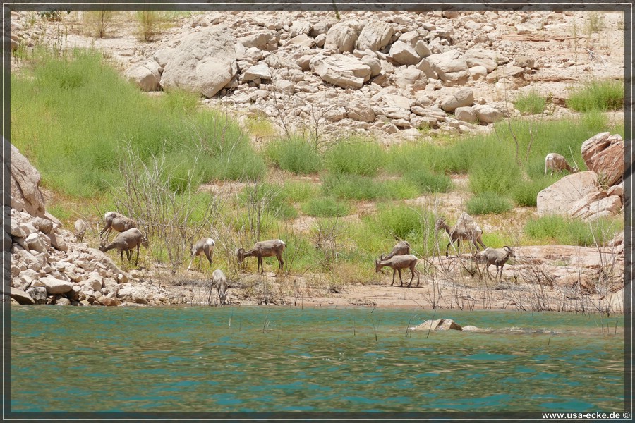 Rock_Creek_2025_042