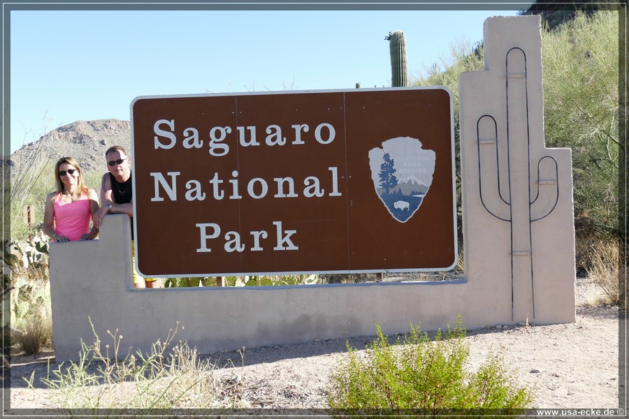 SaguaroNP_15_001