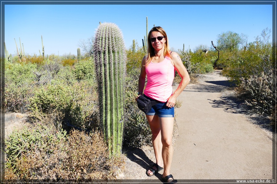 SaguaroNP_15_007