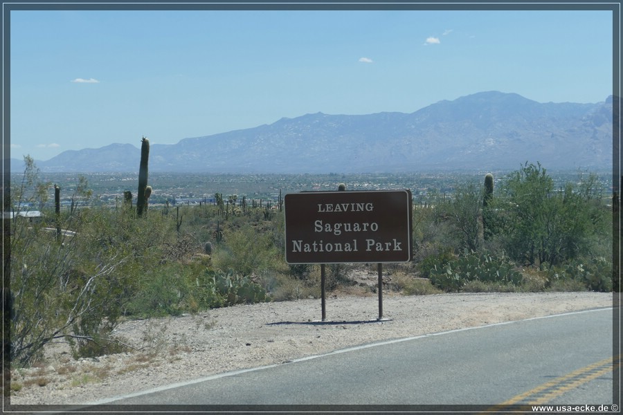 SaguaroNP_15_029