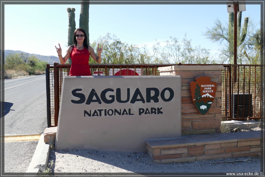 Saguaro2019_001