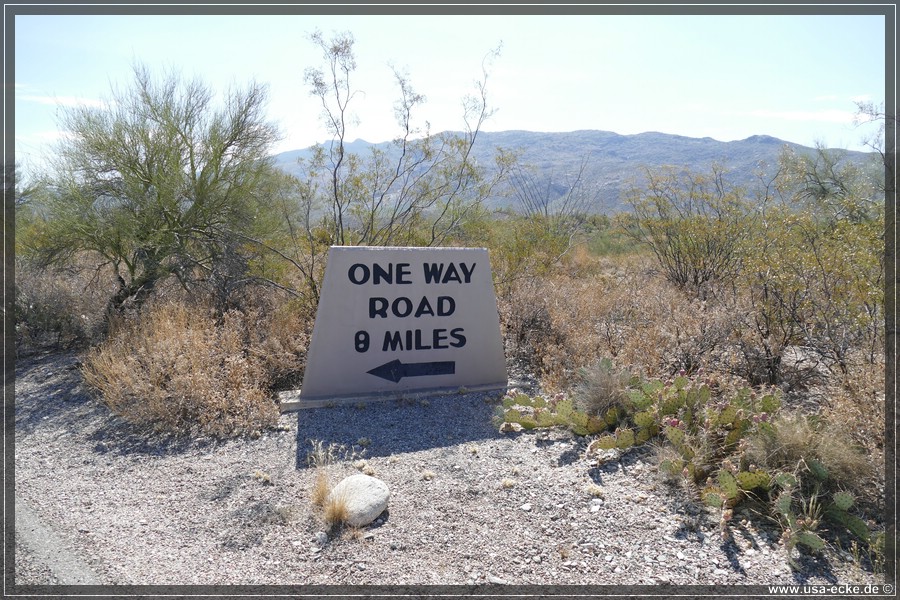 Saguaro2019_006