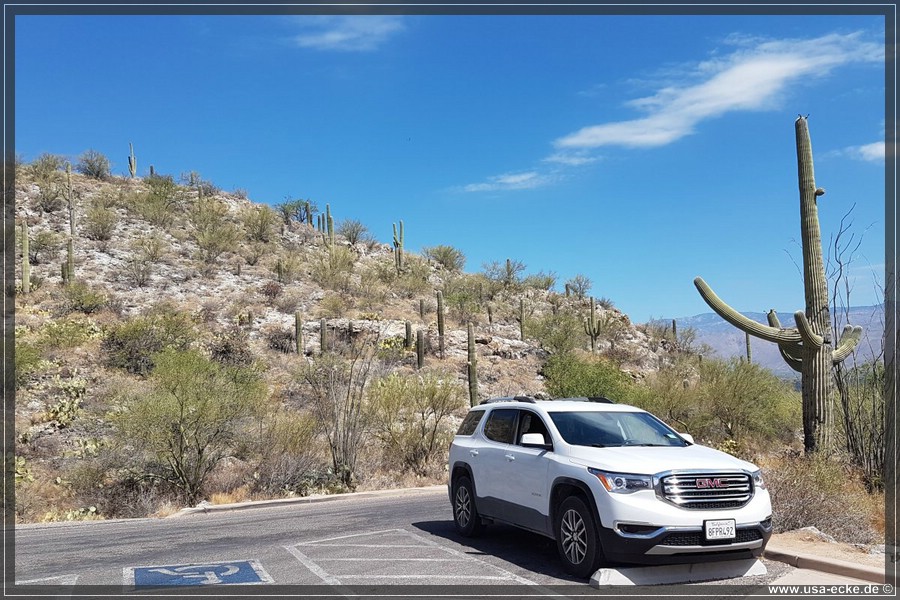 Saguaro2019_028