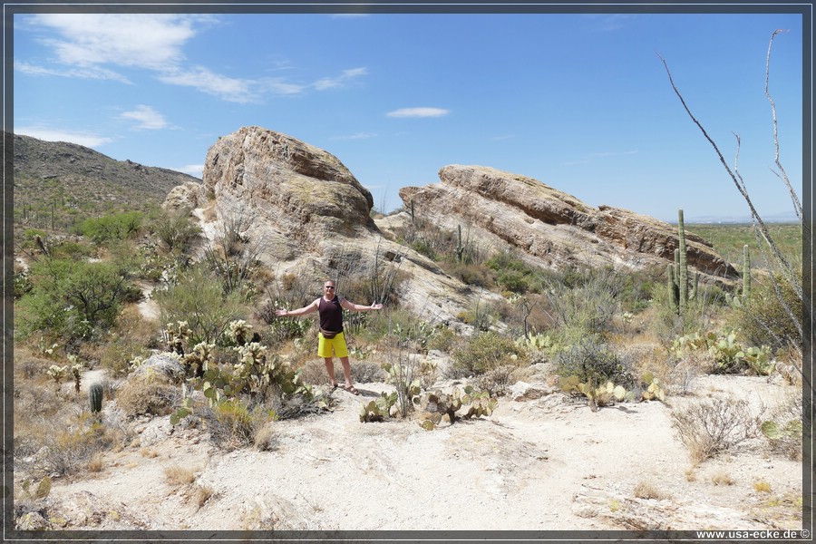 Saguaro2019_038