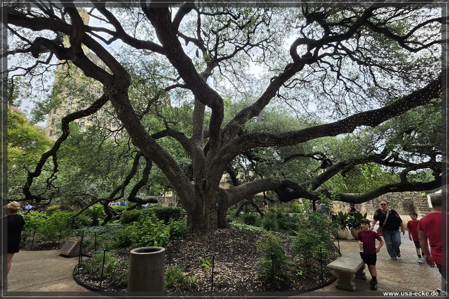 Abseits_Riverwalk_2026_013