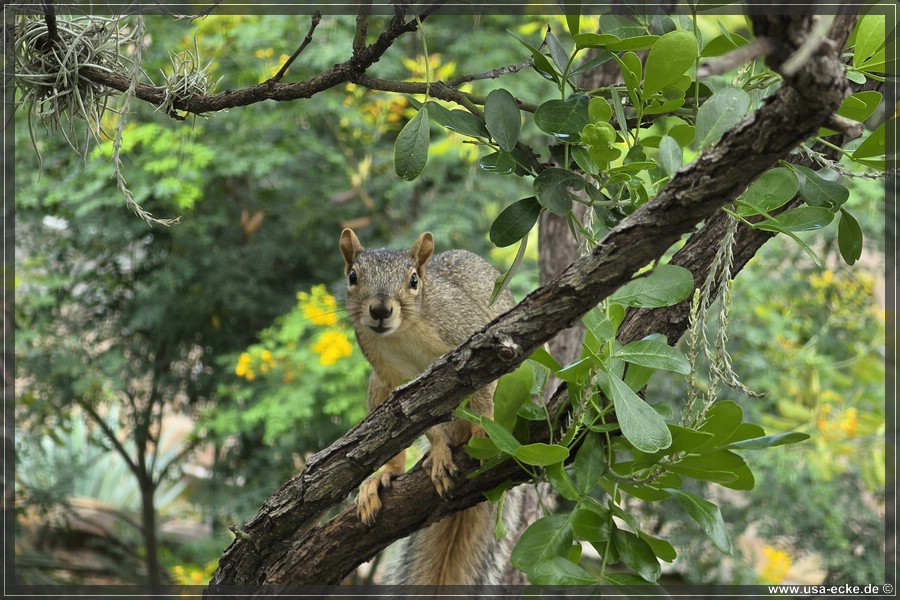 Abseits_Riverwalk_2026_027
