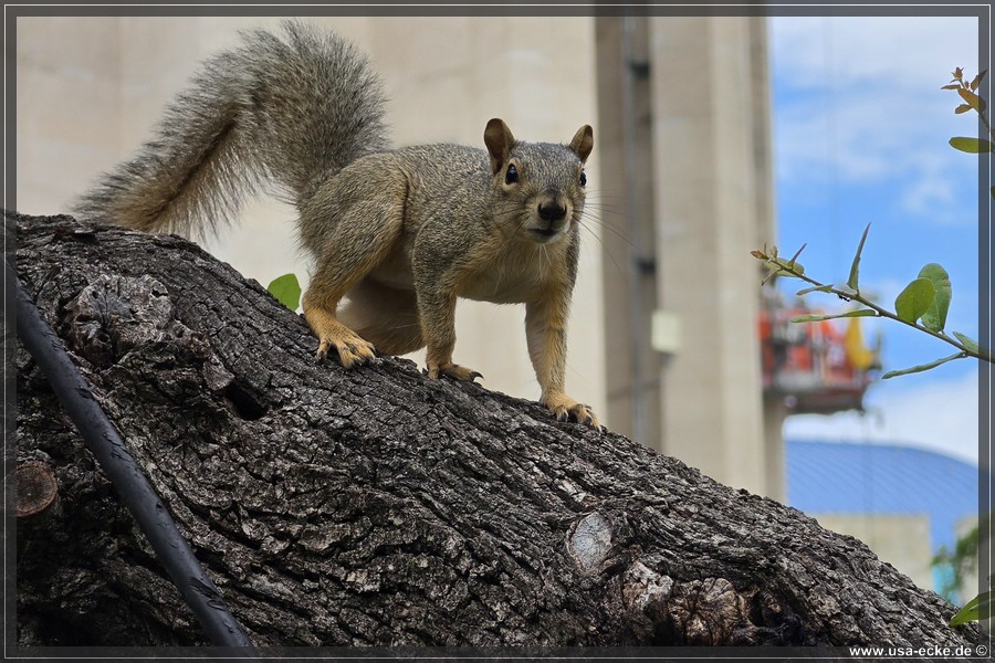 Abseits_Riverwalk_2026_028