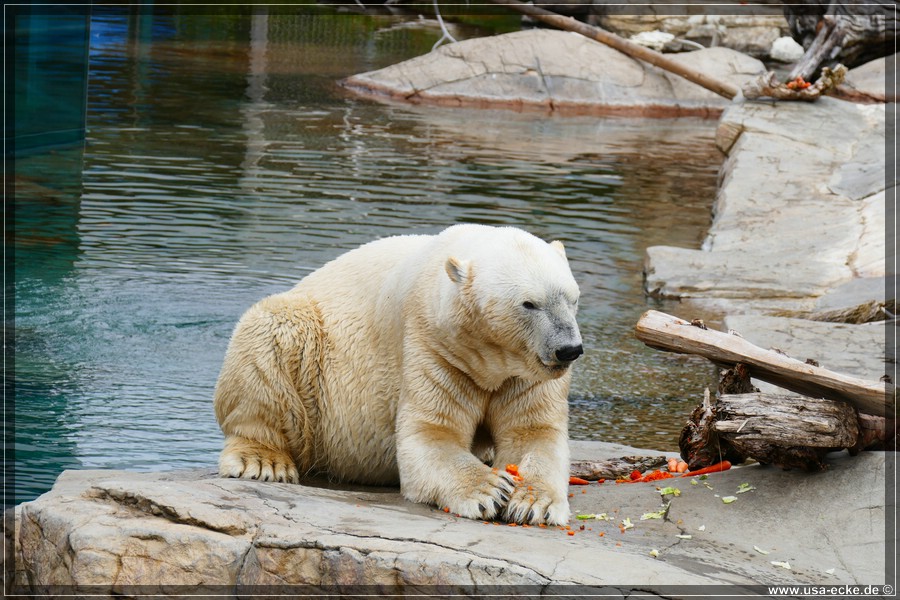 san_diego_zoo_15_005