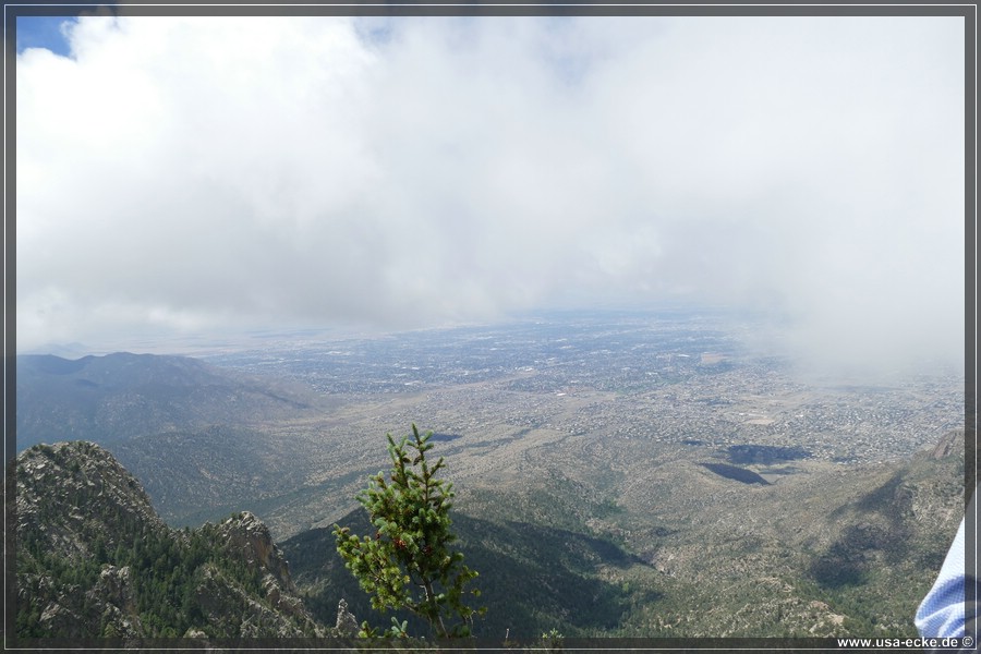 Sandia2019_020