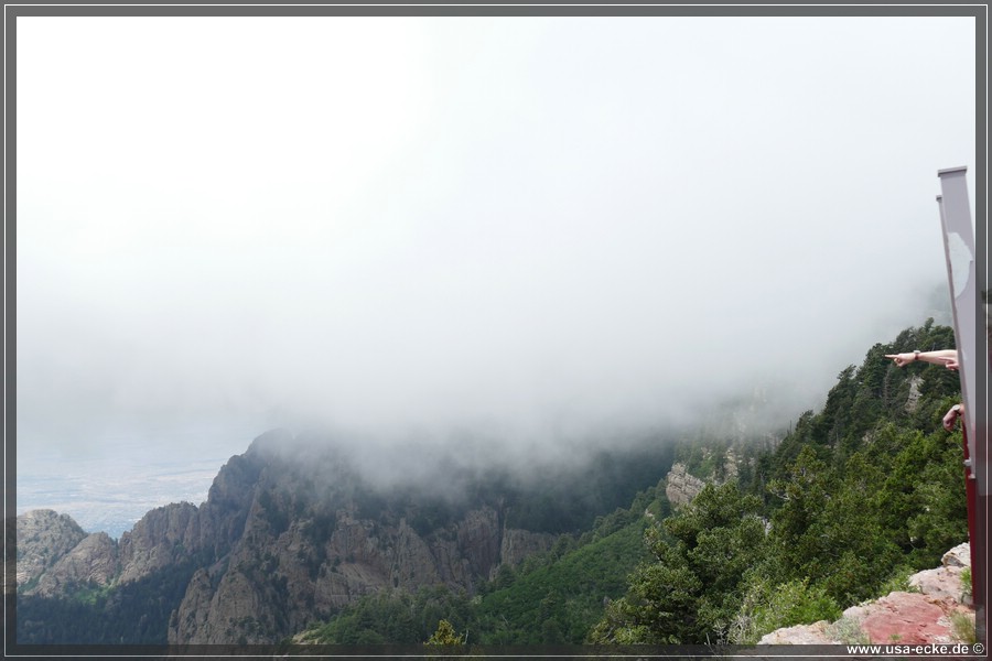 Sandia2019_026