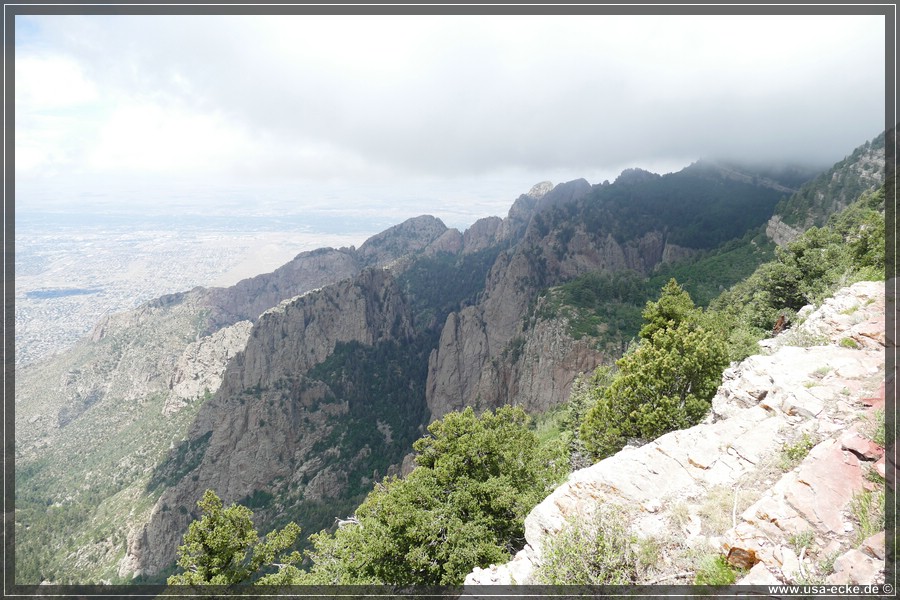 Sandia2019_028