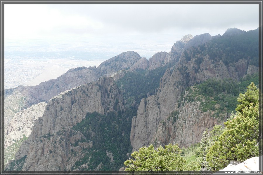 Sandia2019_029