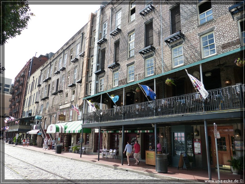 savannah_2013_007