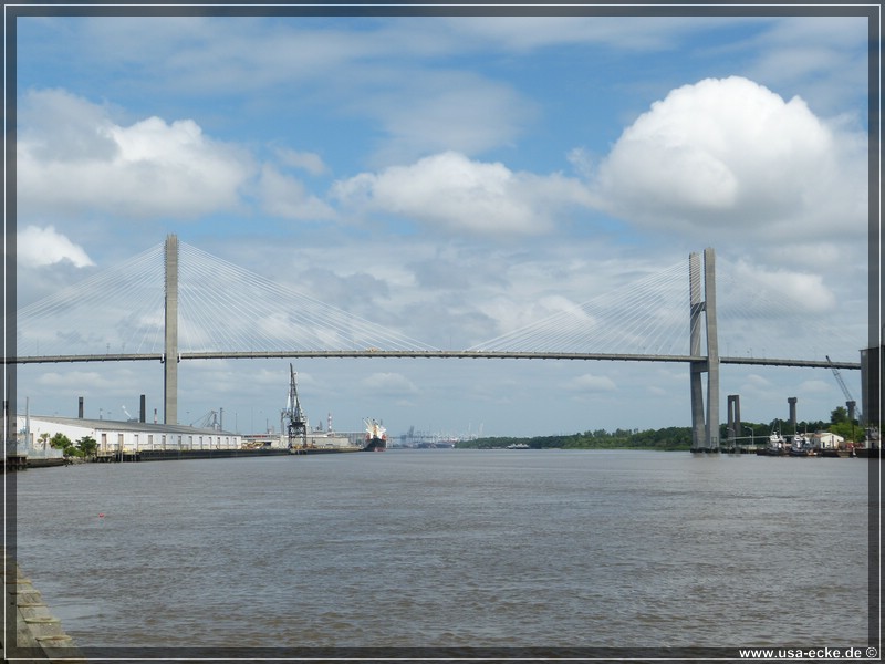 savannah_2013_009