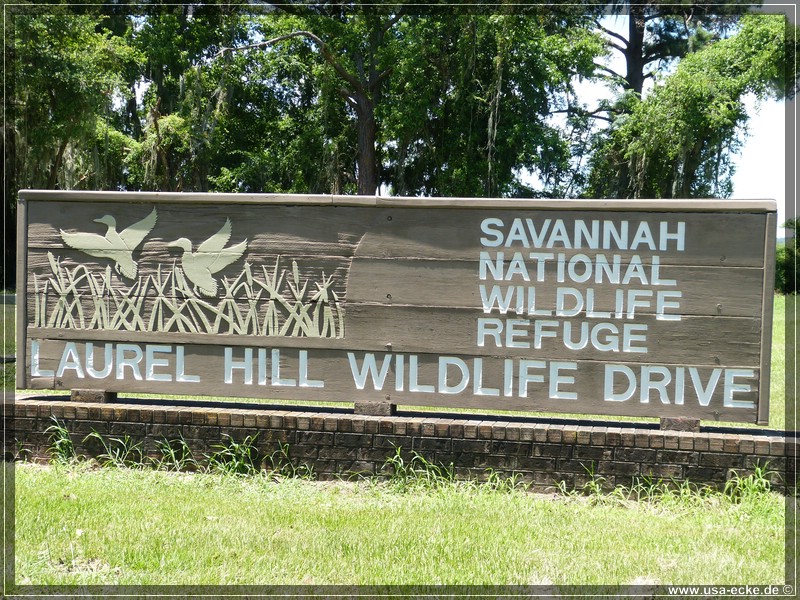 savannah_wildlife2013_002