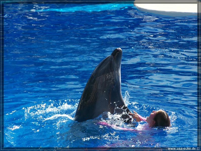 sea_world_2009_003