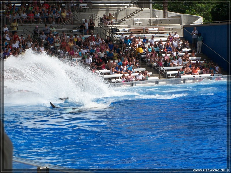 sea_world_2009_009