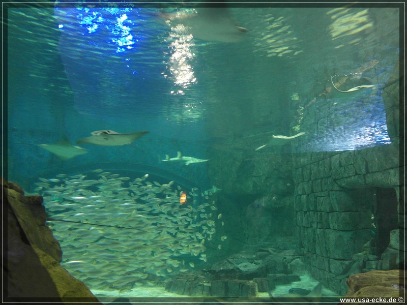 sea_world_2012_002