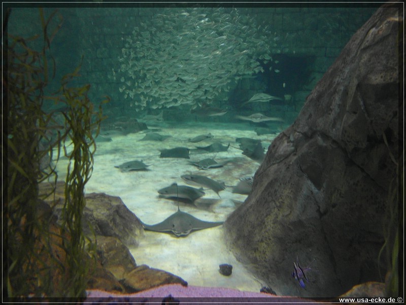 sea_world_2012_003