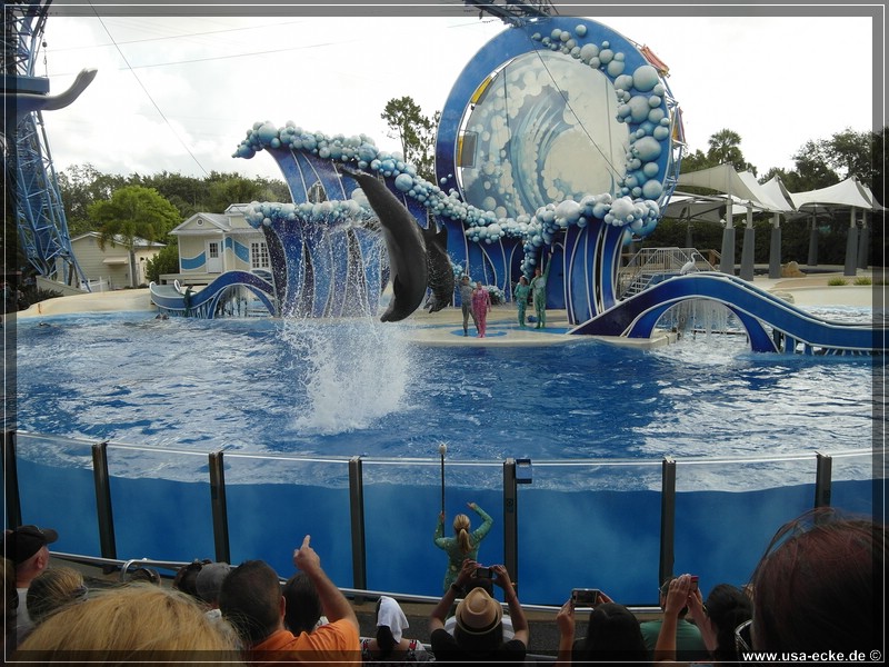 sea_world_2012_006