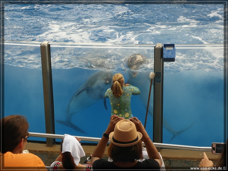 sea_world_2012_007