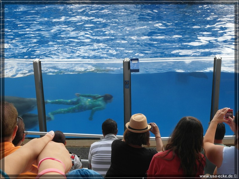sea_world_2012_008
