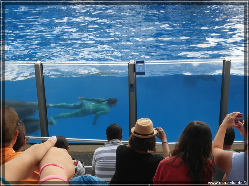 sea_world_2012_008