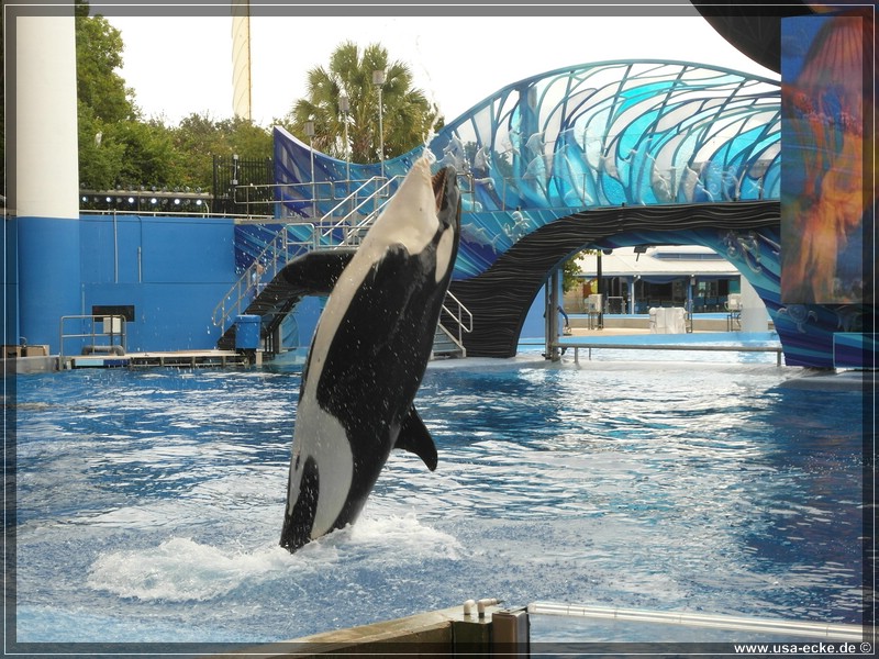 sea_world_2012_015