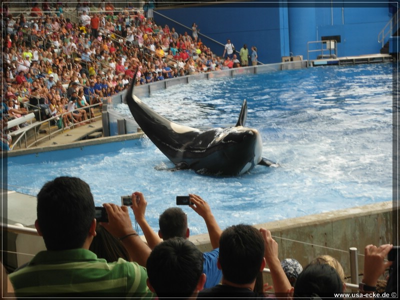 sea_world_2012_016