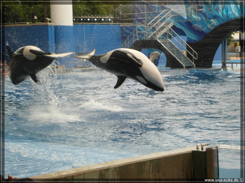 sea_world_2012_017